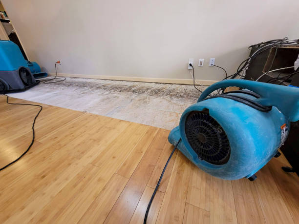 Professional Basement Flood Cleanup technician working in Lockport, NY